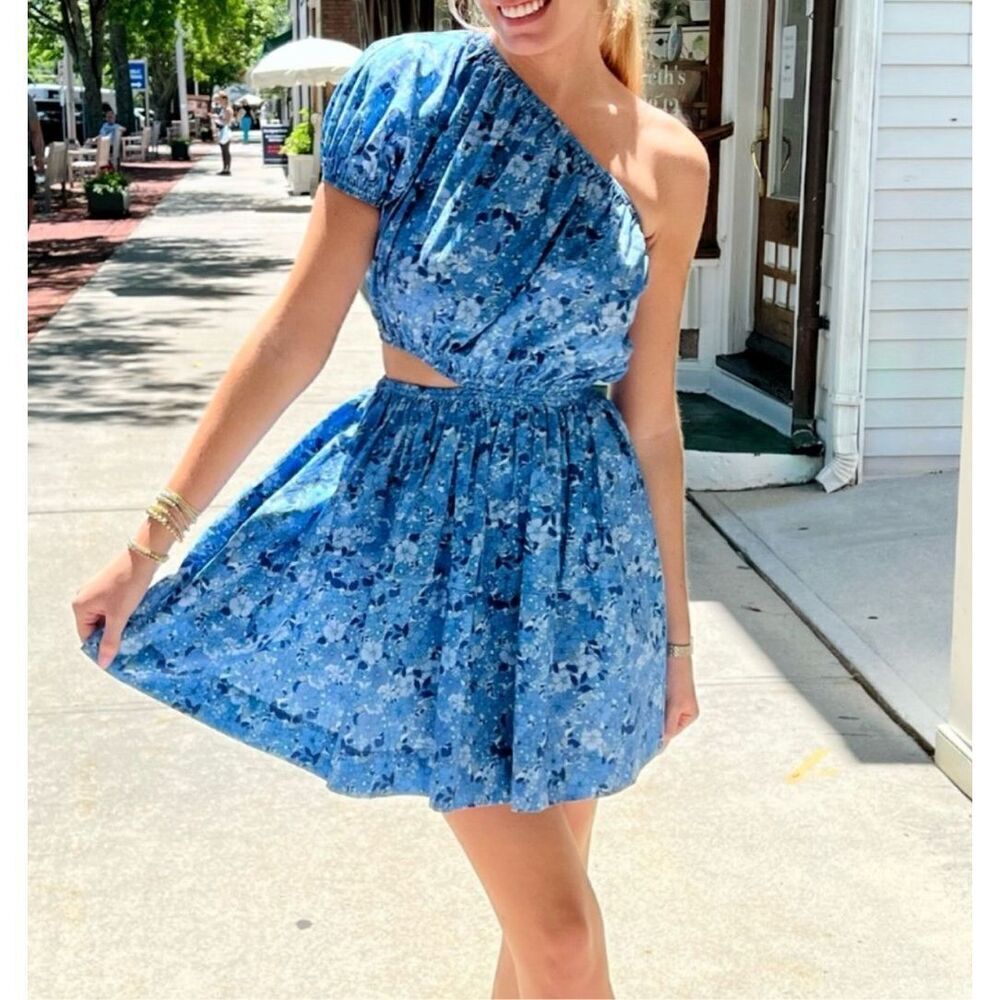 NWT The Westside  Blue Pamela Cut-Out Mini Dress, Size XS